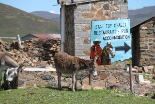 Notice Board with the welcoming party!