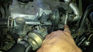 20170201_160916.jpg