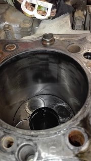 IMG_20170929_151556.jpg