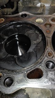 IMG_20170929_151615.jpg