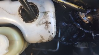 20180619_074752[1].jpg