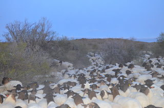 Skaaptrek 2018 220.JPG