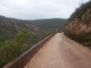 WhatsApp Image 2020-08-16 at 21.15.15.jpeg