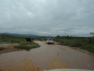 The river run