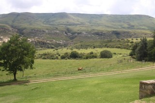 Lupela 04.JPG