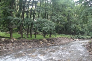 Scenery 05.JPG