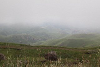 Misty View.JPG