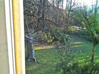 A very relaxing garden, manicured lawn, and abundance of bird life made this an oasis of tranquility :-)