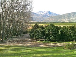 IMG_1716.jpg