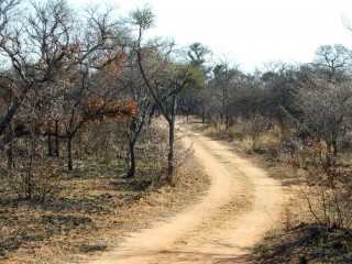 DSCF5068.JPG