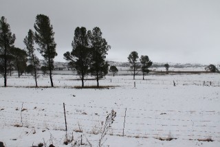 IMG_2524.JPG