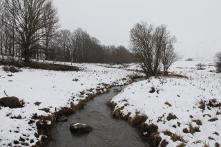 IMG_2542.JPG