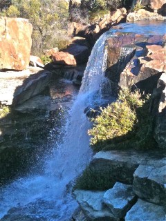 One could gaze in awe, for many a minute....
