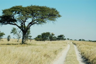 Botswana.JPG