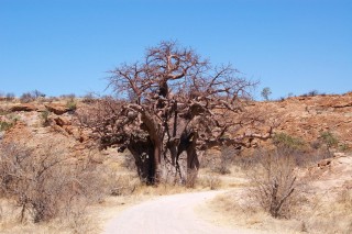 Mapungubwe.JPG