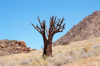 Richtersveld3.JPG