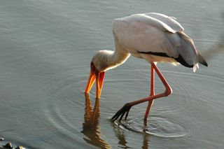 DSC_0395.jpg