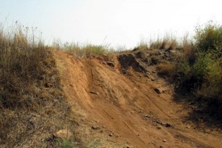 IMG_2459.jpg