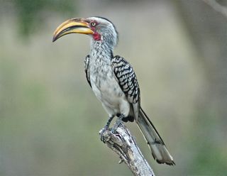 DSC_0563.jpg