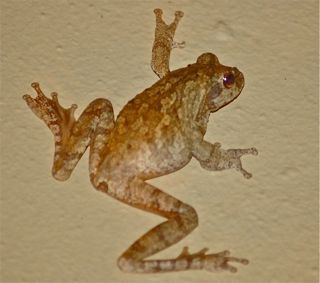 DSC_0620.jpg