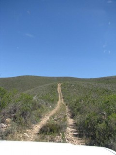 IMG_5402.jpg