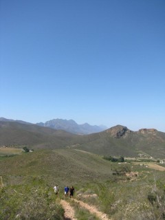 IMG_5412.jpg