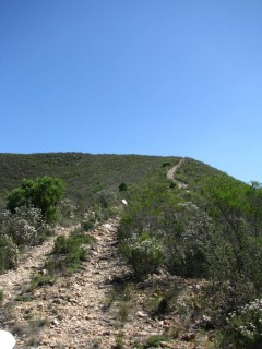 IMG_5423.jpg