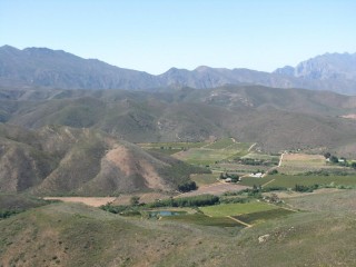 IMG_5433.jpg