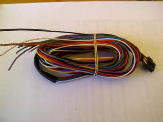 EMS2 Wiring loom.jpg
