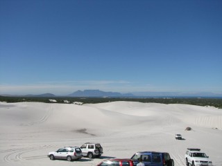 SmallIMG_6505.jpg