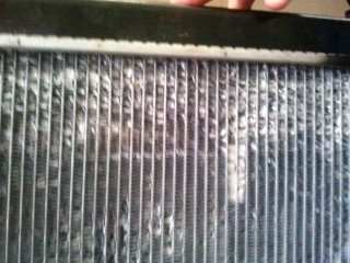 Rad close up.jpg