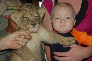 My little boy with his first lion :-)