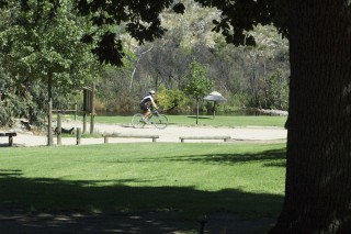 Mountain biker's dream