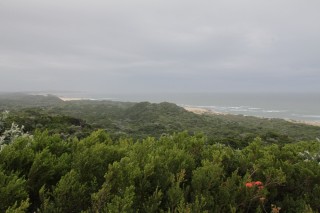 IMG_4398.JPG