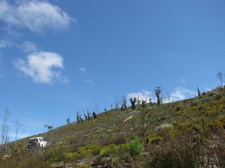 SmallIMG_6731.jpg