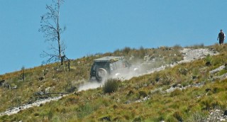 Pumba taking time for a sand shower, before joining fellow members ... ? prt 2