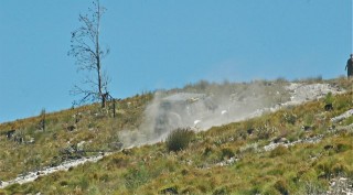 Pumba taking time for a sand shower, before joining fellow members ... ? prt 3