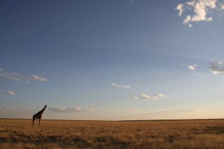 I loooooove the wide open spaces
