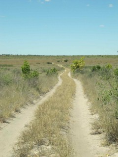 the long road