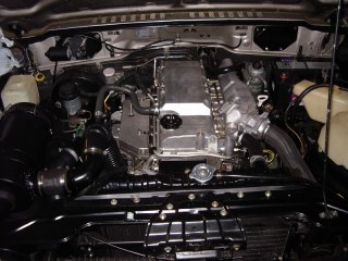image-1339047989.jpg