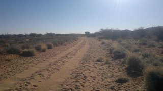 You sure this is the right road?