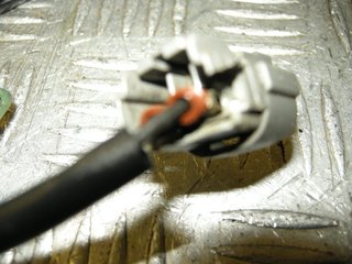 DSCN4527.jpg