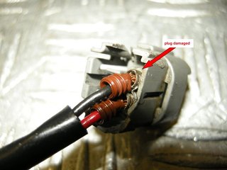 DSCN4533.jpg