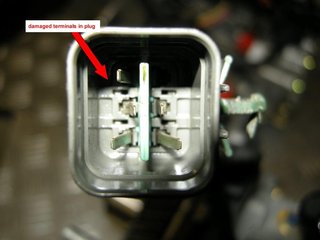 DSCN4529.jpg