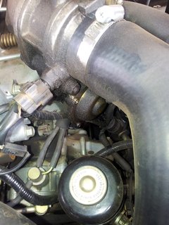IMG_20131123_144327.jpg