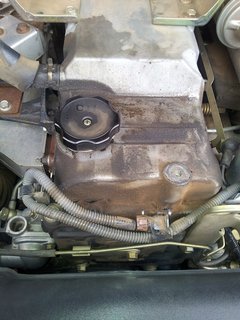 IMG_20131123_144502.jpg
