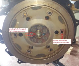 Flex Plate.jpg