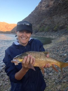 even the wife got in on the action