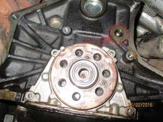 IMG_0486.JPG
