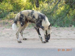 DSCN7804.jpg